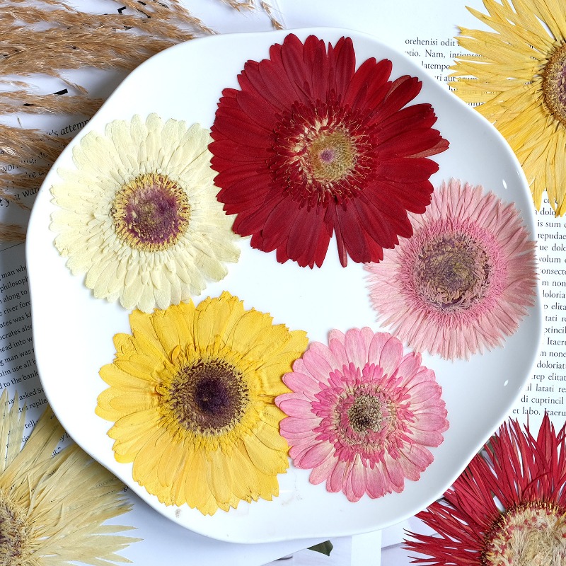 1 قطعة/7-9 سنتيمتر ، ضغط Gerbe - مراجعة Resin Art Phone Case وسعره